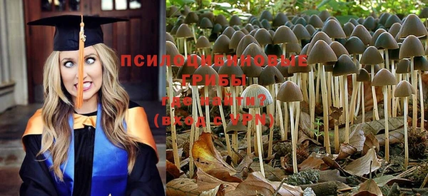 круглые Козельск