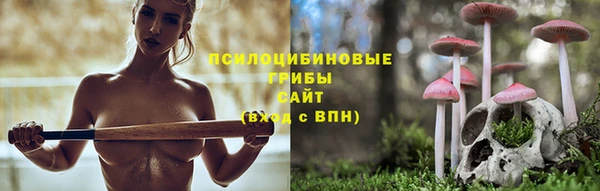 синтетический гашиш Козловка