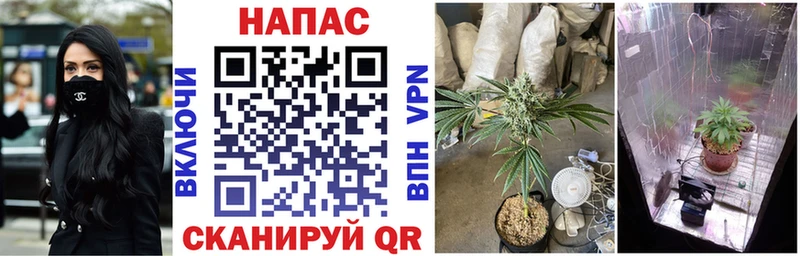 Канабис OG Kush  Лагань 